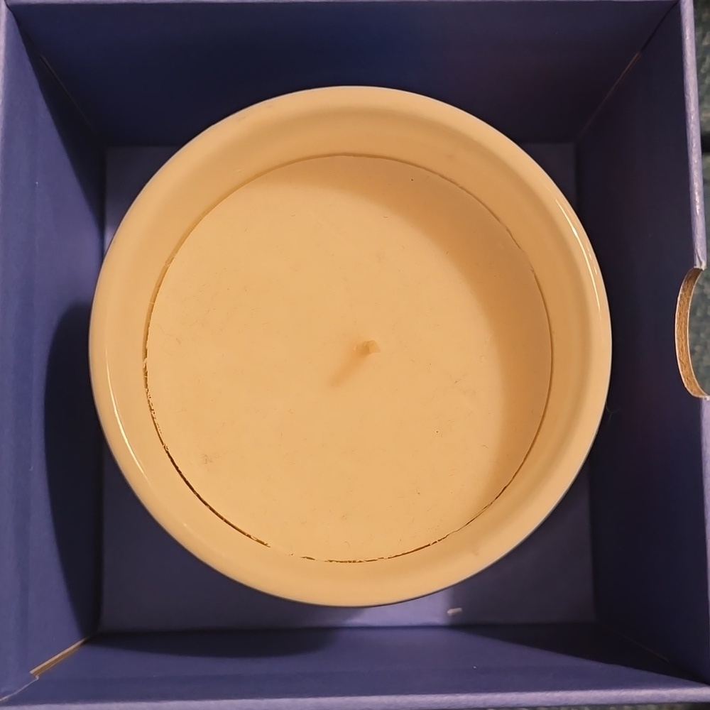 Daniella Manini x Anthropologie Capri Floral Lemon Blossom Boxed Ceramic Candle - Picture 6 of 14